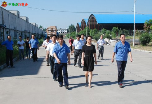 宝丰县委常委 常务副县长马丽 马丽简历 与刘书峰
