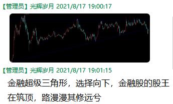 银行股的股王在筑顶，金融周线级别大调整